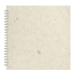 11x11 Posh Black Display 25lvs Natural Banana
