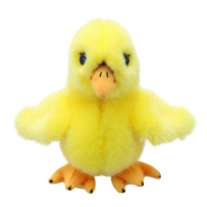 Chick Soft Toy