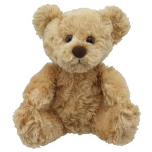 Teddy Bear Soft Toy