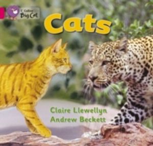 Cats - Band 01b/Pink B