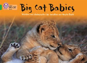 Big Cat Babies - Band 05/Green