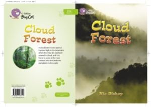 Cloud Forest - Band 11/Lime