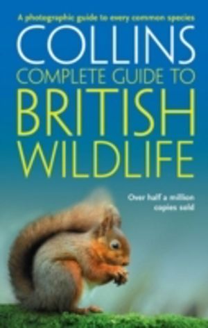 British Wildlife - A Photographic Guide to Every Common Species