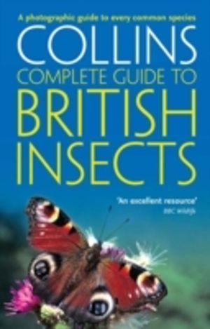 British Insects - A Photographic Guide to Every Common Species