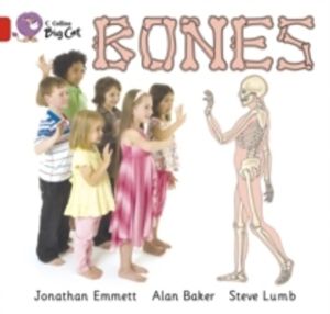Bones - Band 02b/Red B