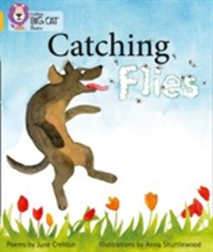 Catching Flies - Band 09/Gold