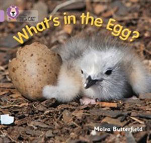 WhatÔÇÖs in the Egg? - Band 00/Lilac