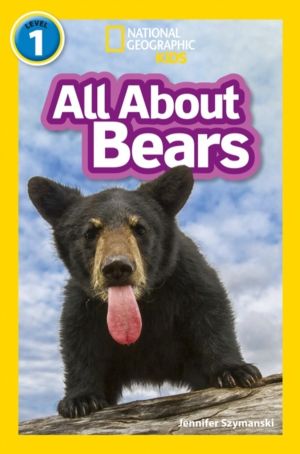 All About Bears - Level 1