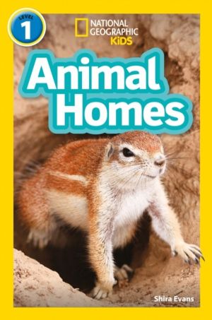 Animal Homes - Level 1