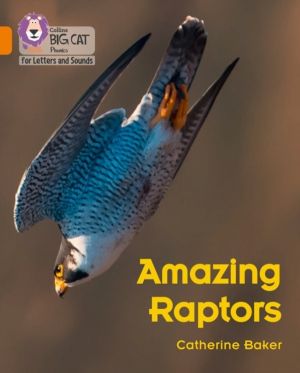 Amazing Raptors - Band 06/Orange