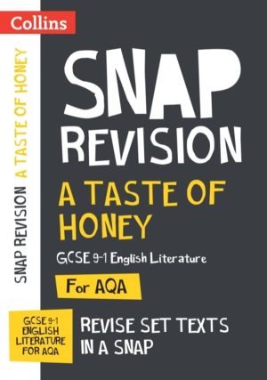 Taste of Honey AQA GCSE 9-1 English Literature Text Guide - Ideal for the 2