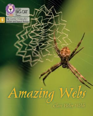 Amazing Webs - Phase 5 Set 2
