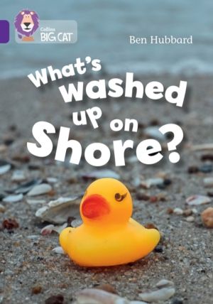What's washed up on shore? - Band 08/Purple