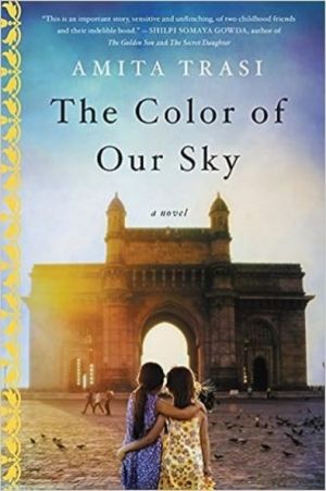 Color of Our Sky - A Novel
