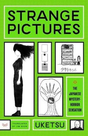 Strange Pictures - A Novel