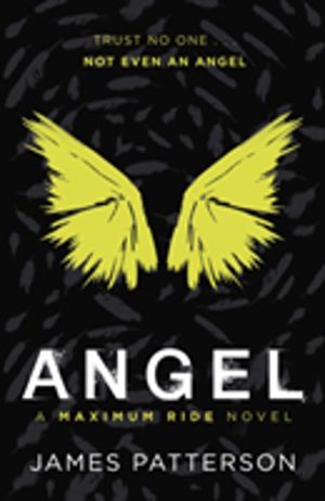 Angel: A Maximum Ride Novel - (Maximum Ride 7)