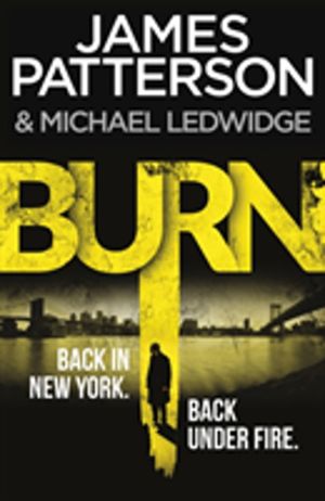 Burn - (Michael Bennett 7). Unbelievable reports of a murderous cult become