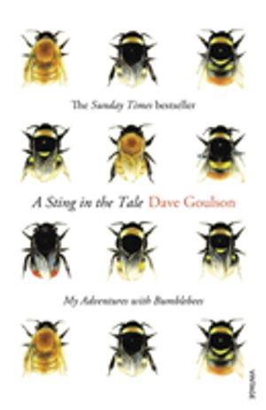 Sting in the Tale - My Adventures with Bumblebees