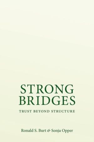 Strong Bridges - Trust Beyond Structure