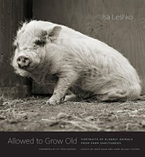 Allowed to Grow Old - Portraits of Elderly Animals from Farm Sanctuaries