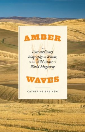 Amber Waves - The Extraordinary Biography of Wheat, from Wild Grass to Worl