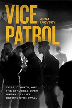 Vice Patrol - Cops, Courts, and the Struggle over Urban Gay Life before Sto