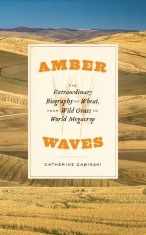 Amber Waves - The Extraordinary Biography of Wheat, from Wild Grass to Worl