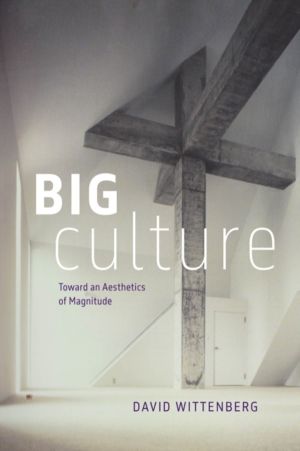 Big Culture - Toward an Aesthetics of Magnitude