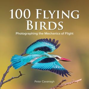 100 Flying Birds - Photographing the Mechanics of Flight