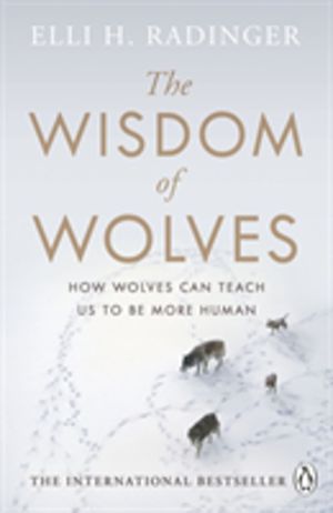 Wisdom of Wolves - How Wolves Can Teach Us To Be More Human
