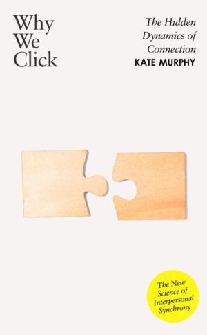 Why We Click - The Hidden Dynamics of Connection: 'The New Science of Inter