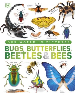 Bugs, Butterflies, Beetles and Bees - A Visual Bug and Insect Encyclopedia