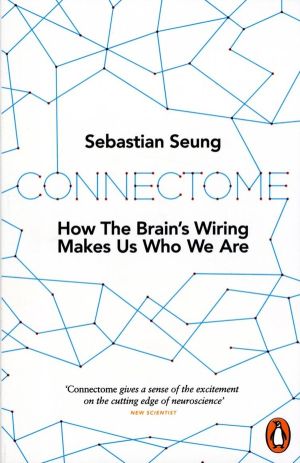 Connectome - How the Brain's Wiring Makes Us Who We Are