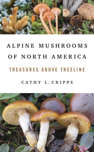 Alpine Mushrooms of North America - Treasures Above Treeline