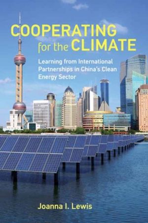 Cooperating for the Climate - Learning from International Partnerships in C