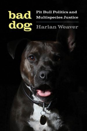 Bad Dog - Pit Bull Politics and Multispecies Justice