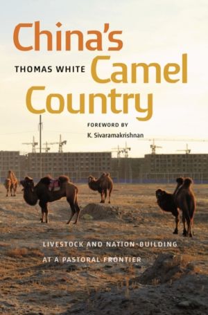 China's Camel Country - Livestock and Nation-Building at a Pastoral Frontie