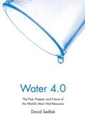 Water 4.0 - The Past, Present, and Future of the World's Most Vital Resourc