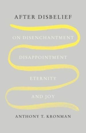 After Disbelief - On Disenchantment, Disappointment, Eternity, and Joy