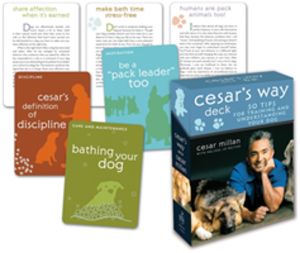 Cesar's Way Deck - 50 Tips for Training and Understanding Your Dog