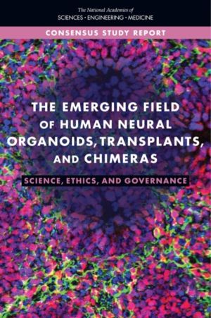 Emerging Field of Human Neural Organoids, Transplants, and Chimeras - Scien
