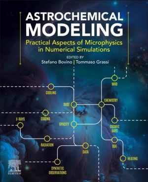 Astrochemical Modeling - Practical Aspects of Microphysics in Numerical Sim