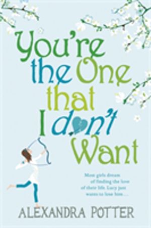 You're the One that I don't want - A hilarious, escapist romcom from the au