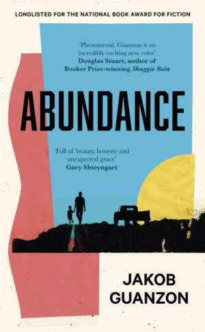 Abundance - Unputdownable and heartbreaking coming-of-age fiction about fat