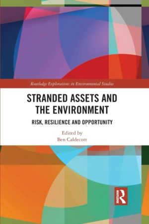 Stranded Assets and the Environment - Risk, Resilience and Opportunity