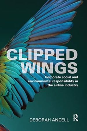 Clipped Wings - Corporate social and environmental responsibility in the ai