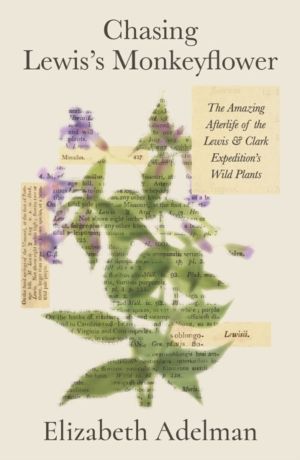 Chasing Lewis's Monkeyflower - The Amazing Afterlife of the Lewis and Clark