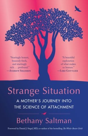 Strange Situation - A Mother's Journey into the Science of Attachment