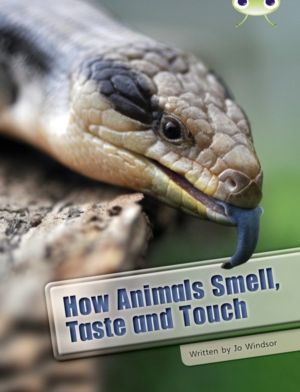 Bug Club Independent Non Fiction Year Two White A How Animals Smell, Taste