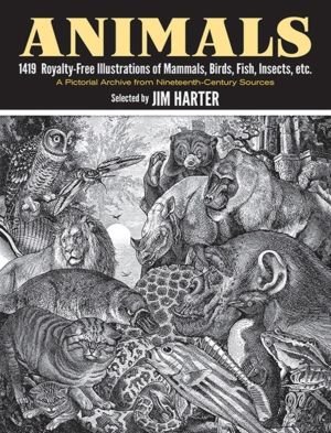 Animals - 1,419 Copyright-Free Illustrations of Mammals, Birds, Fish, Insec